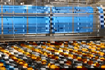 نقش دستگاه های سورتینگ در بهبود ایمنی غذایی و کنترل کیفیت محصولات